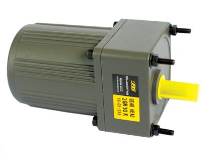 6W/10W感应/调速马达